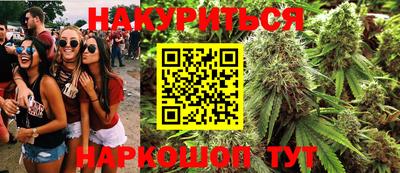 гидра Заволжье