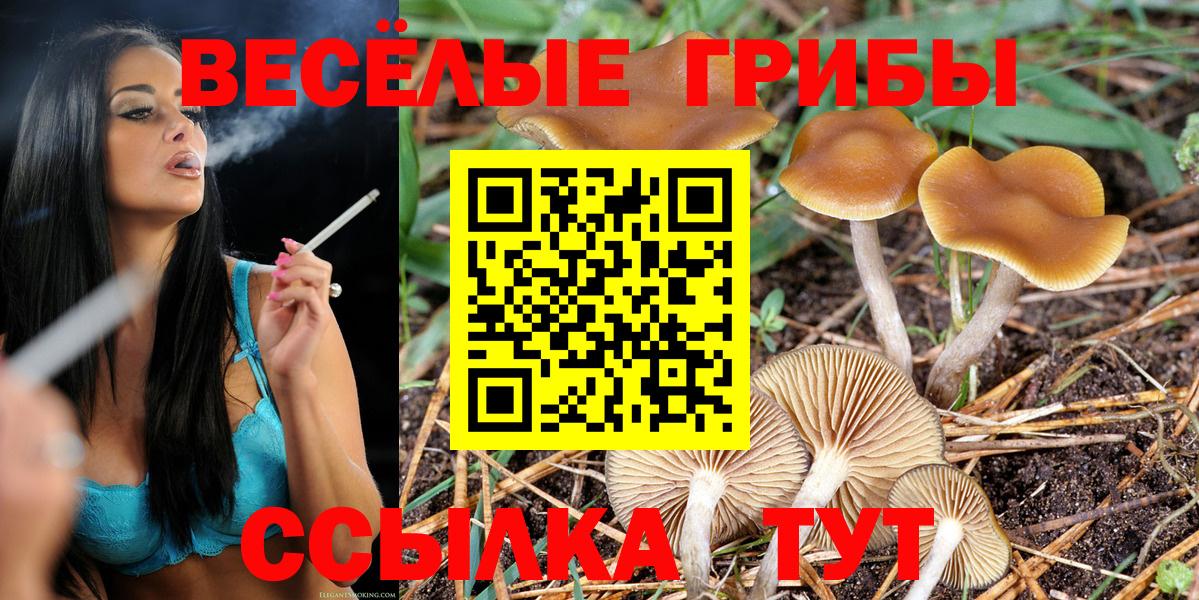 Майкоп  Псилоцибиновые грибы Magic Shrooms  Вход с VPN 