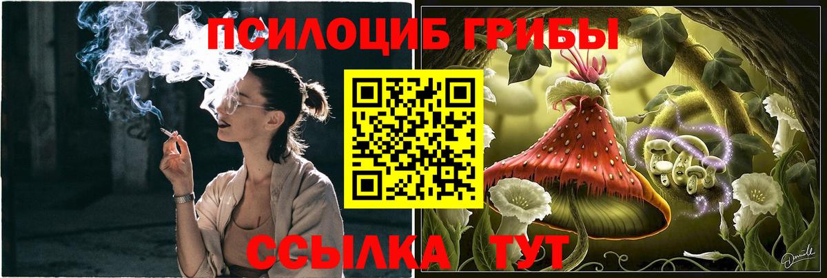 Галлюциногенные грибы Magic Shrooms Майкоп